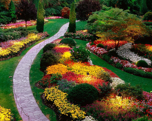 التعريف بعلم تنسيق الحدائق - Introduction Definition to the science of landscaping